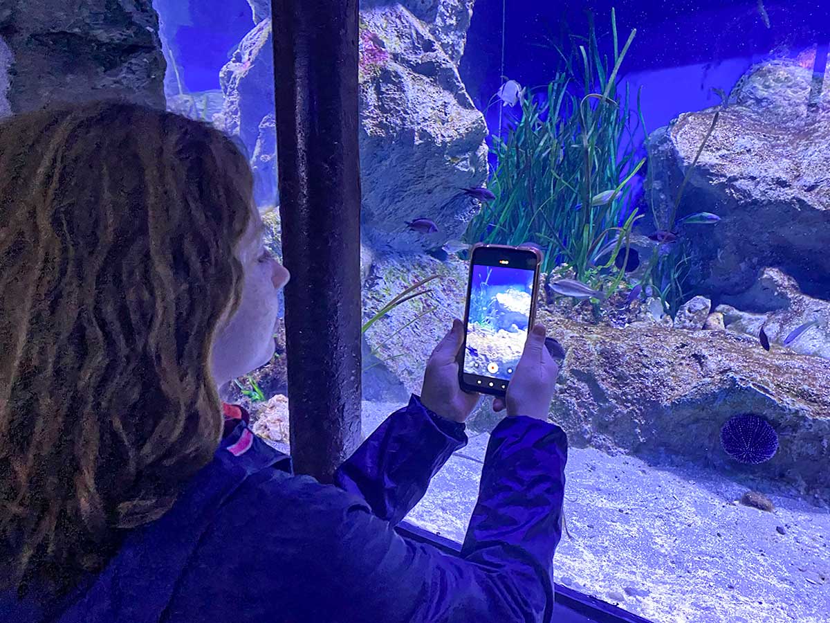 Bambina con telefono davanti a un grande acquario 