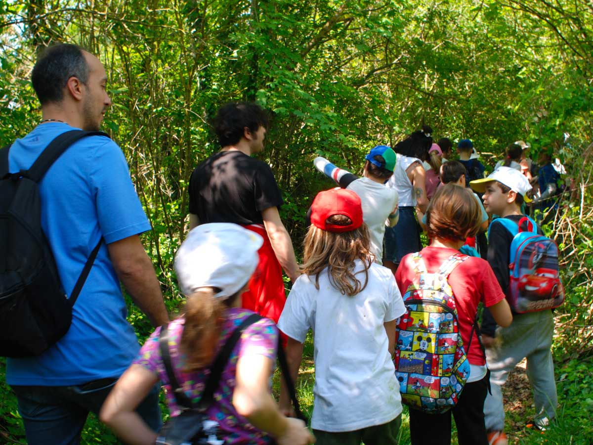 Bambini nella natura in campo estivo