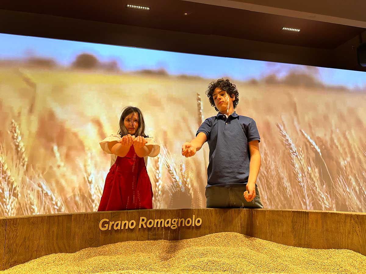 Bambini alla vasca del grano del museo della piadina 