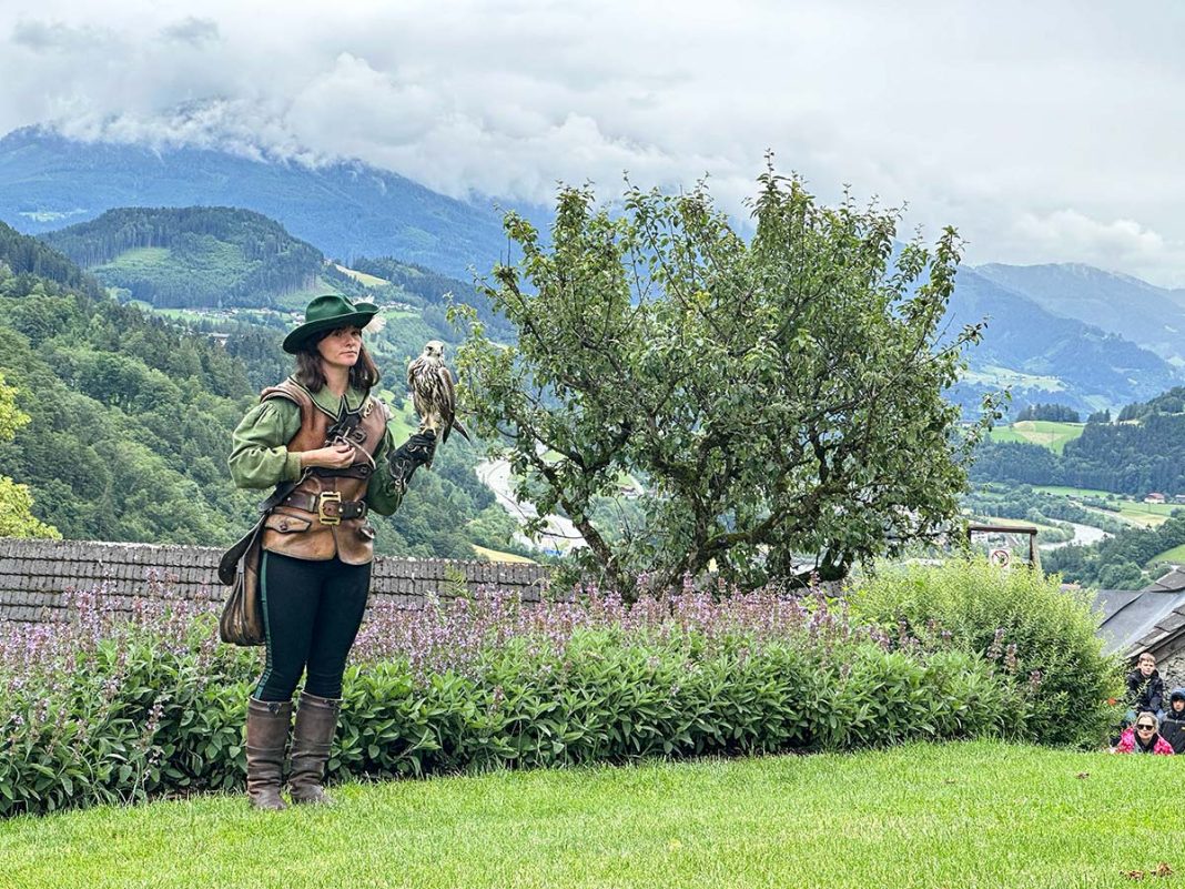 Fortezza di Hohenwerfen spettacolo di falconeria