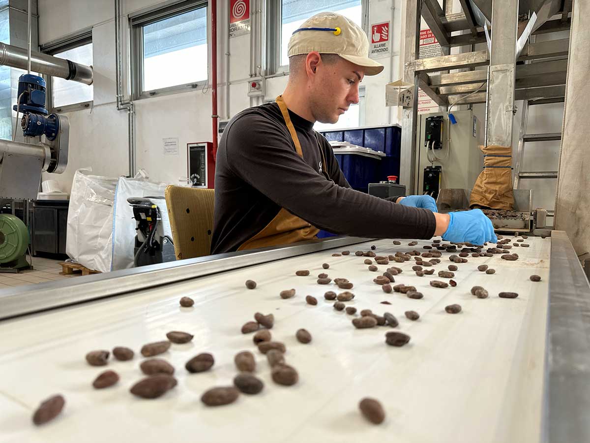 fabbrica pastiglie leone cioccolato