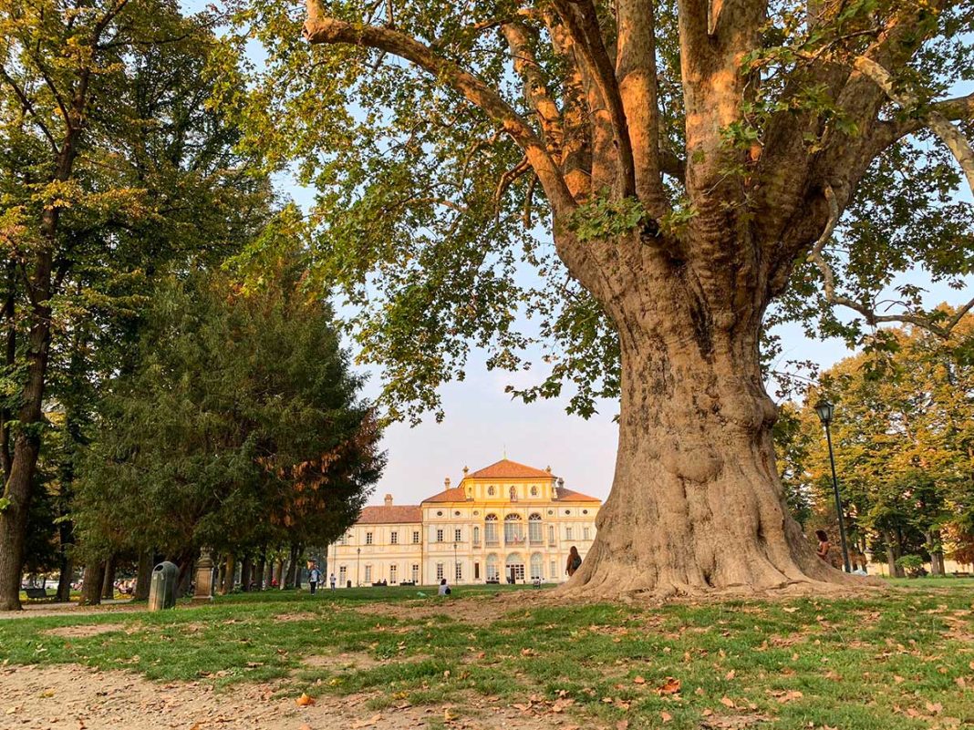 parco tesoriera torino