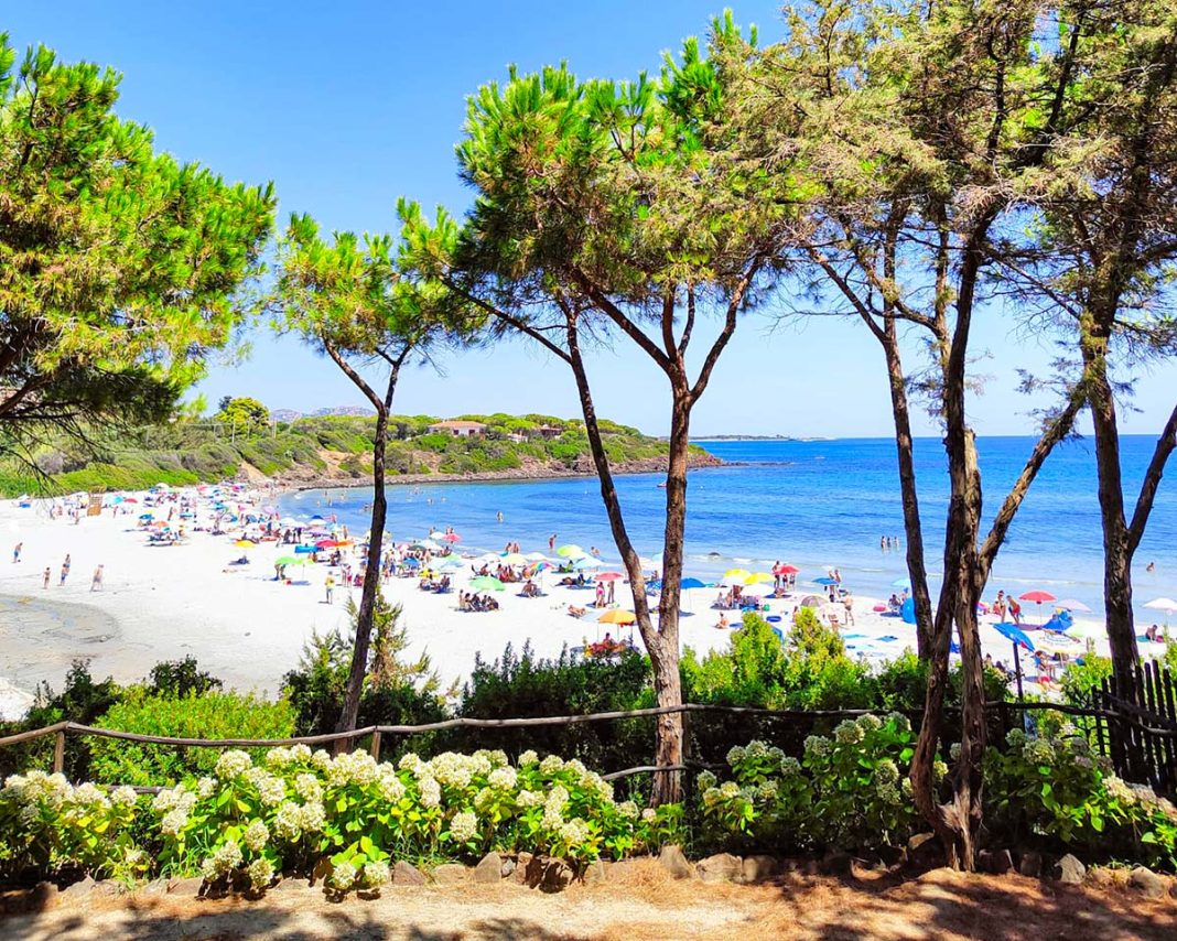 spiaggia con mare e alberi in primo piano