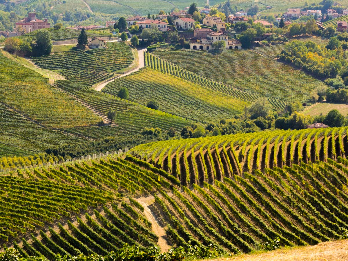 Panorama langhe