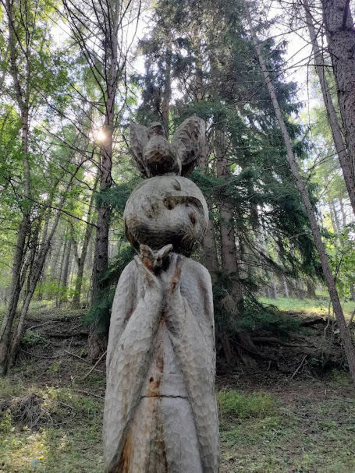 sentiero 14 sauze d'oulx val di susa art in the forest