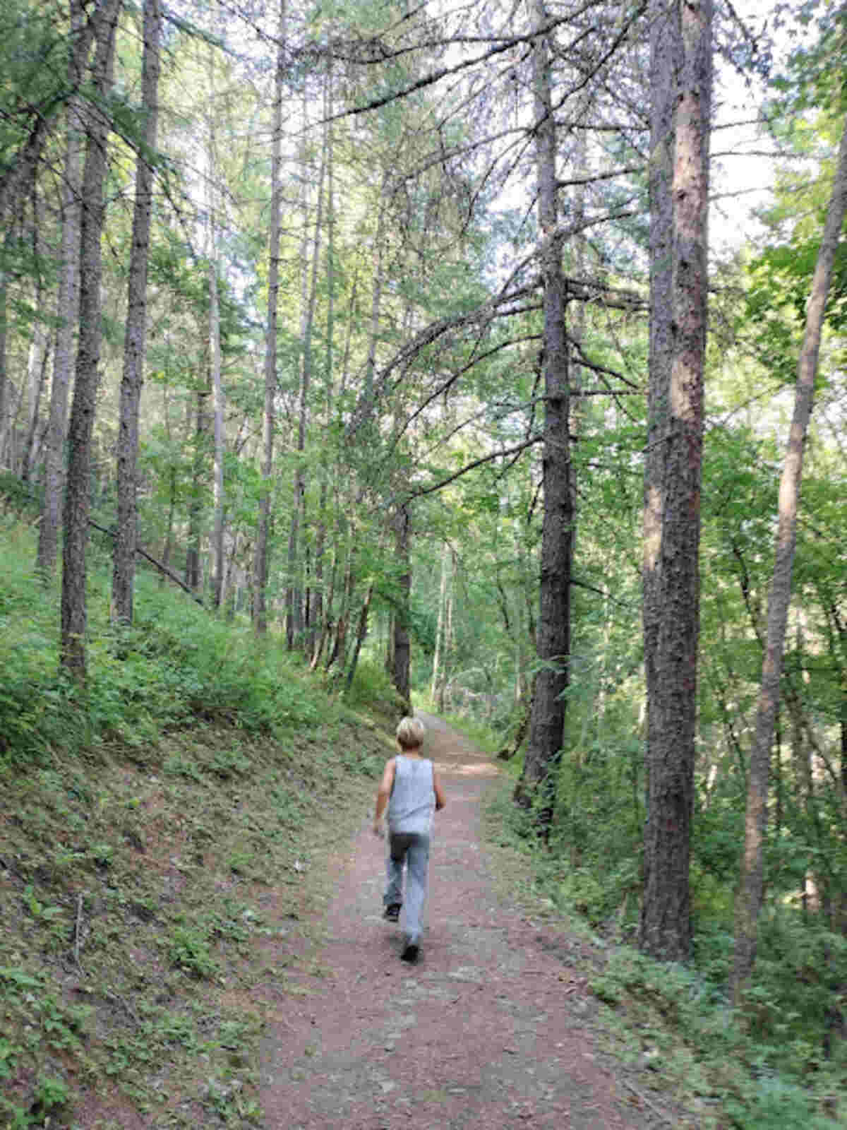 sentiero 14 sauze d'oulx val di susa bambino corre tra gli alberi
