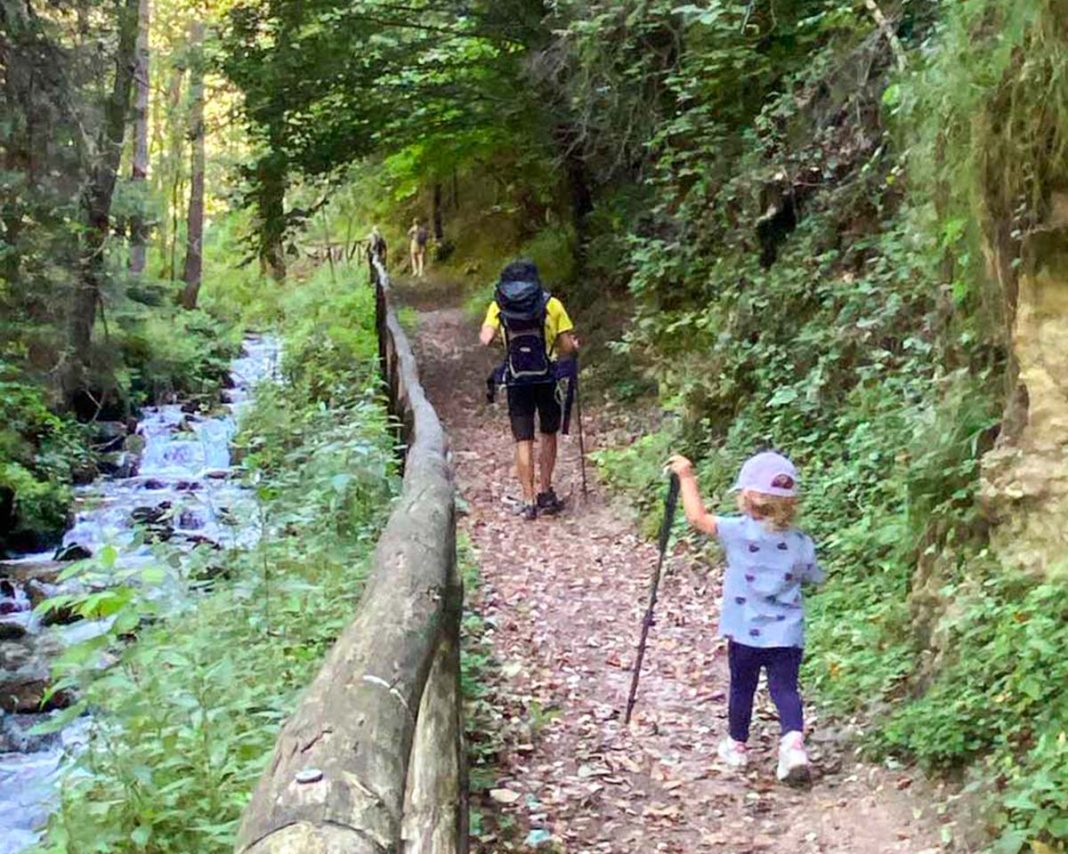 bambina su sentiero dei ciclamini