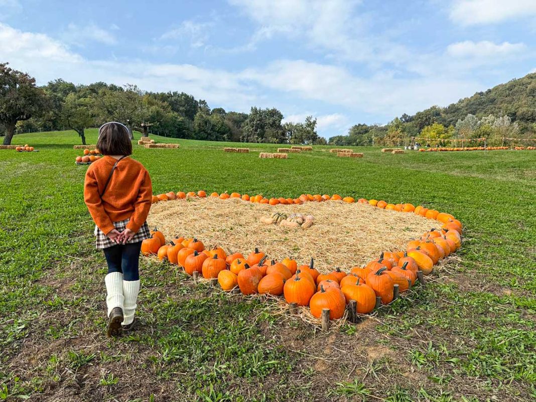 Campo Zucche Torino Giardino Rosero