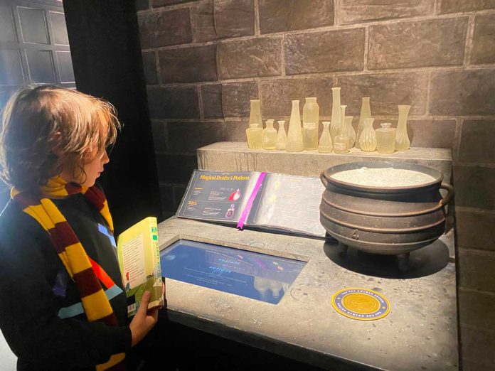 Mostra Harry Potter