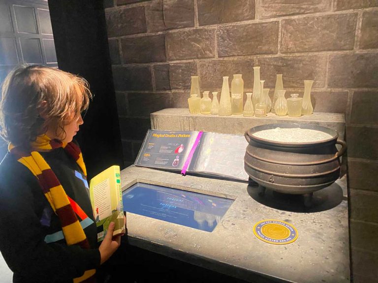 Mostra Harry Potter