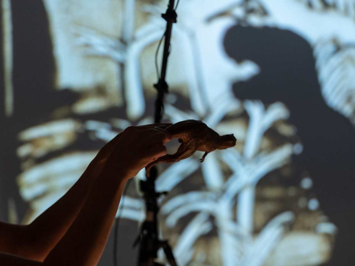 ombre dinosauri al muse party