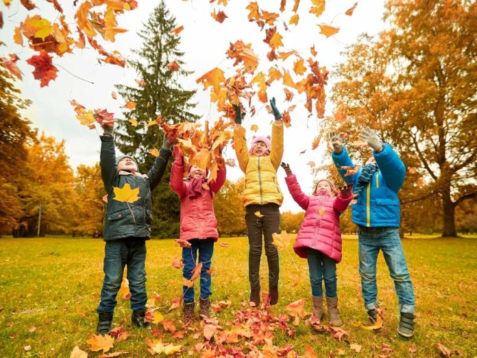 bambini lanciano foglie in aria