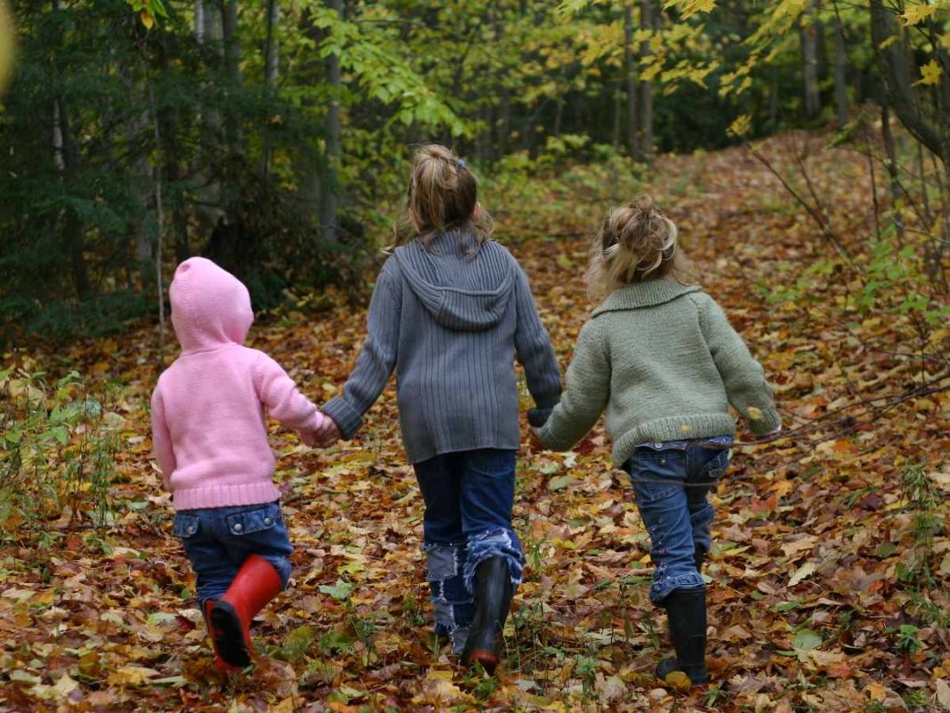 bambini in mezzo al bosco con foglie cadute
