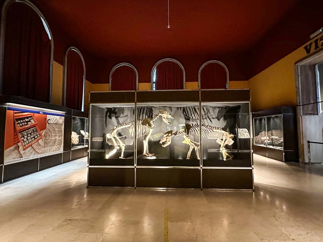 museo civico storia naturale milano