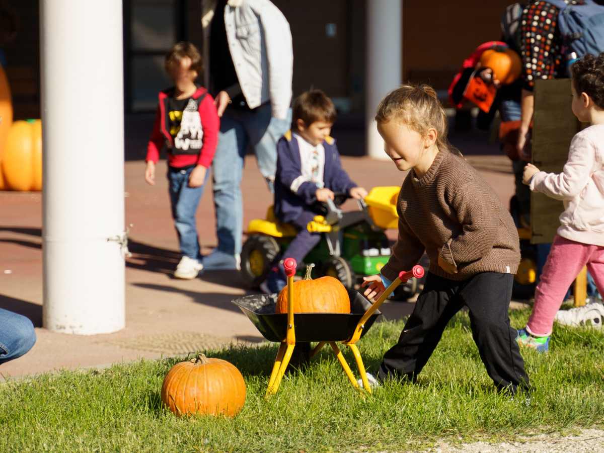 bambini con cariole raccolgo zucche a grand tour italia halloween