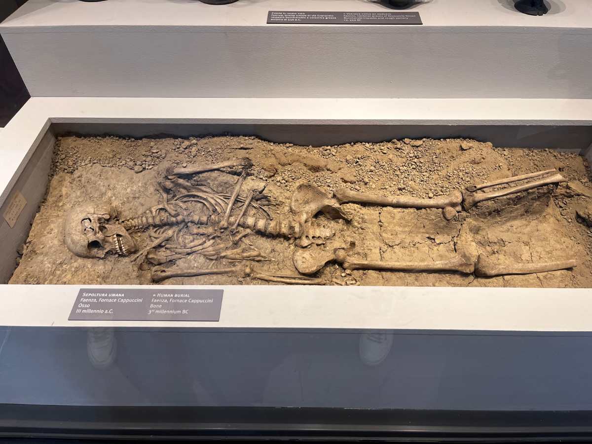 sepoltura umana conservata al museo classis di ravenna