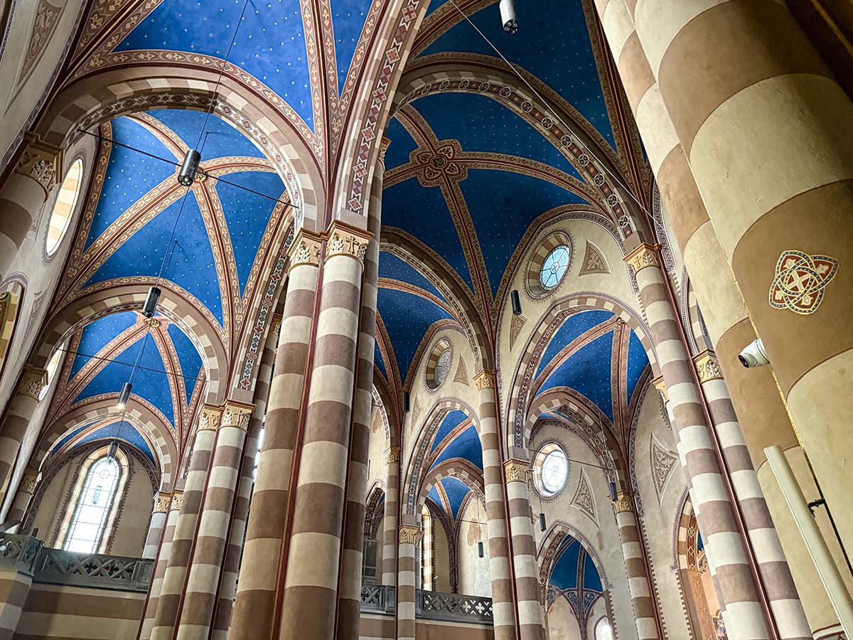Cielo stellato Duomo di Alba