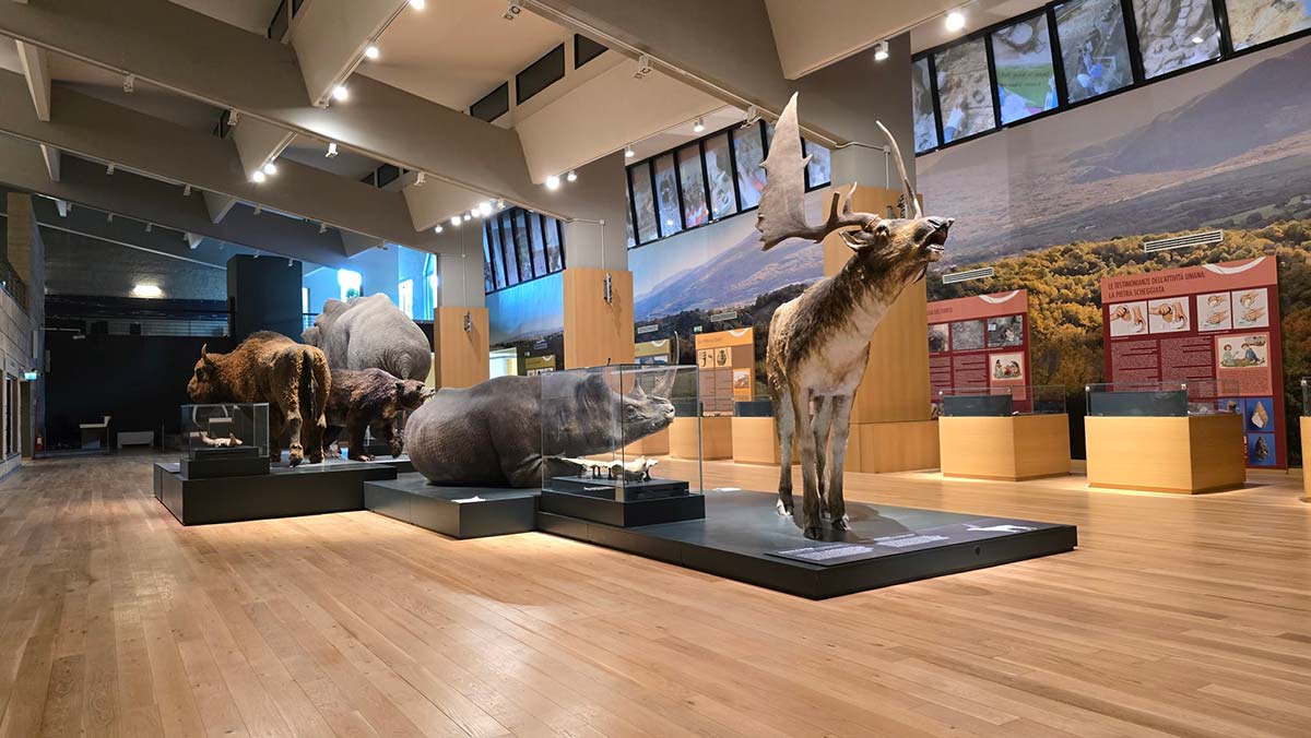Museo Nazionale del Paleolitico Isernia 
