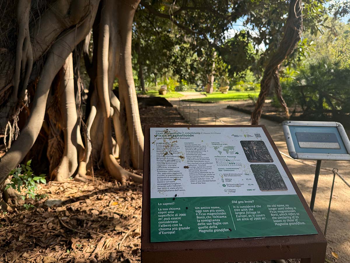 Orto Botanico Palermo