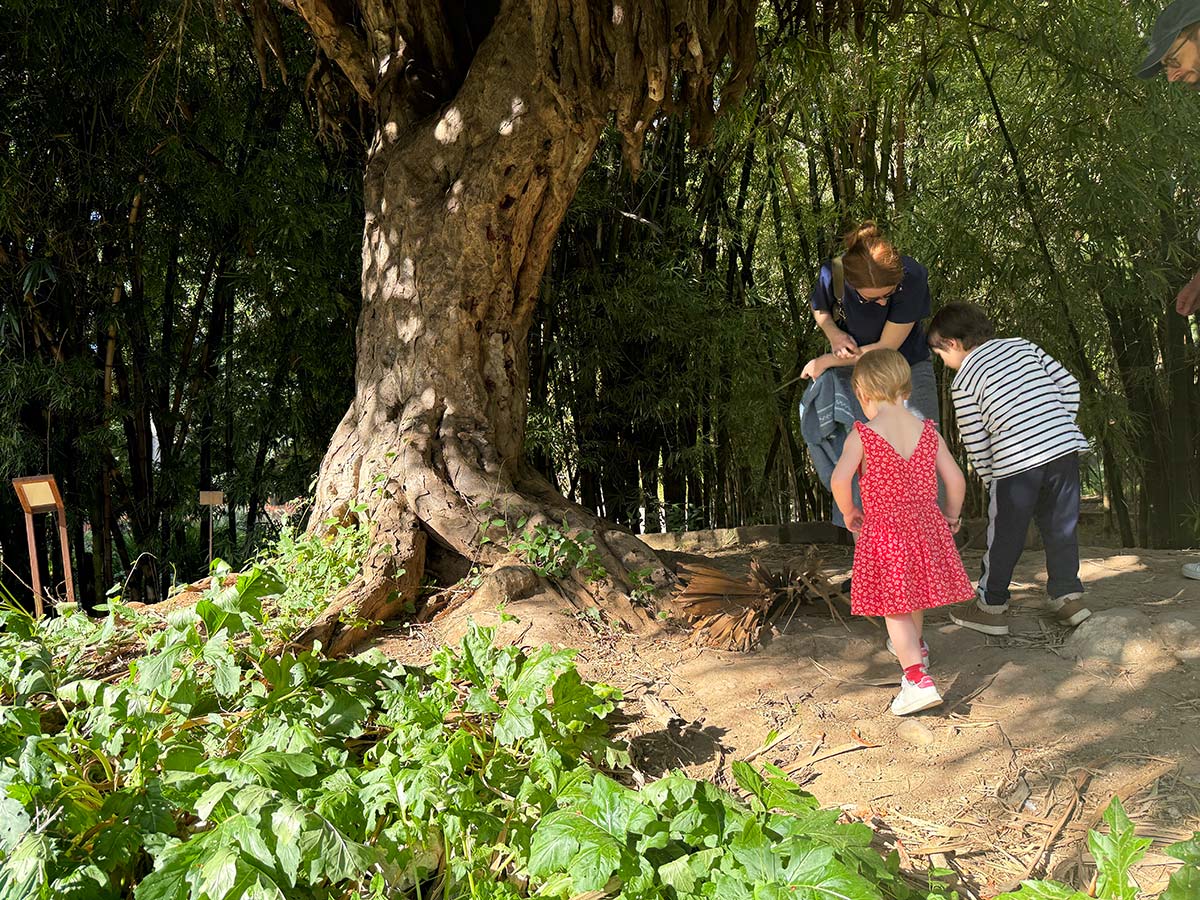 Orto Botanico Palermo