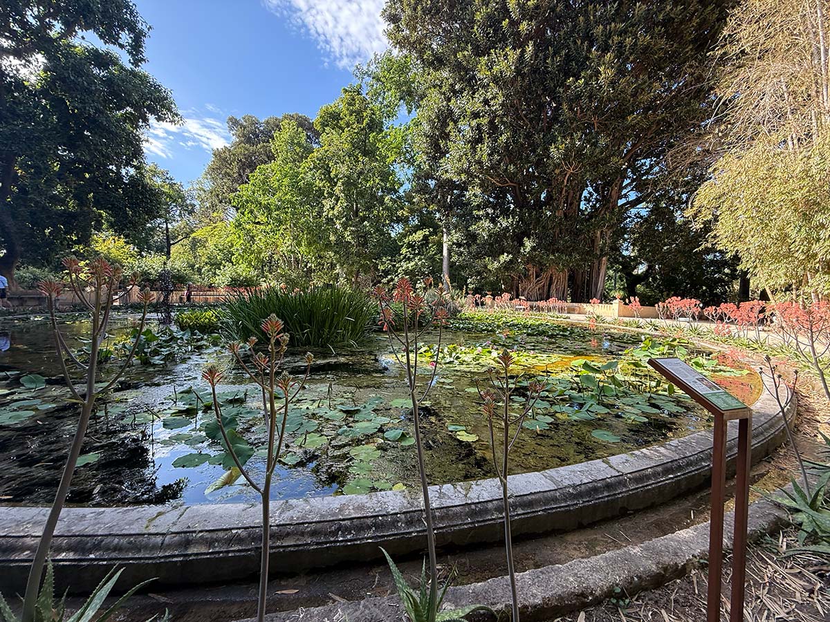 Orto Botanico Palermo