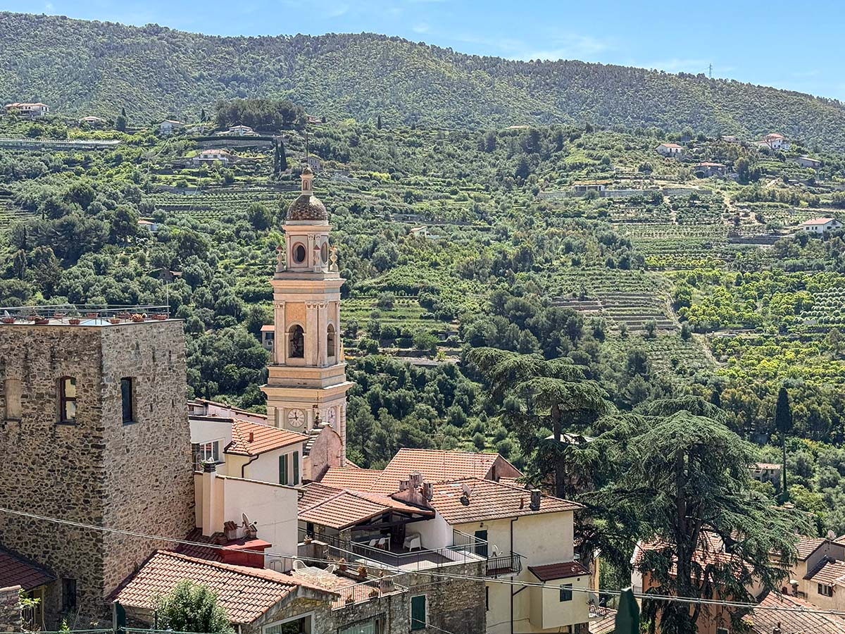 Vallebona dall alto