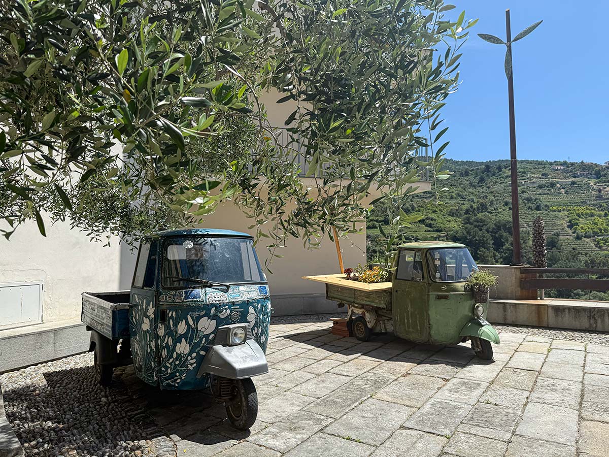 Vallebona Apecar tra gli ulivi
