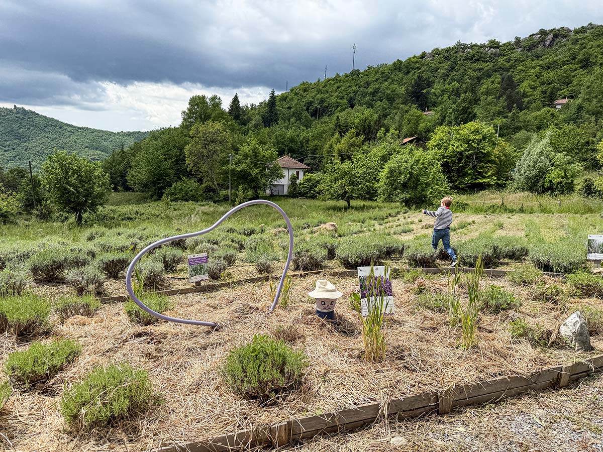 Agriturismo Olio del Casale Alto, Val Pennavaire