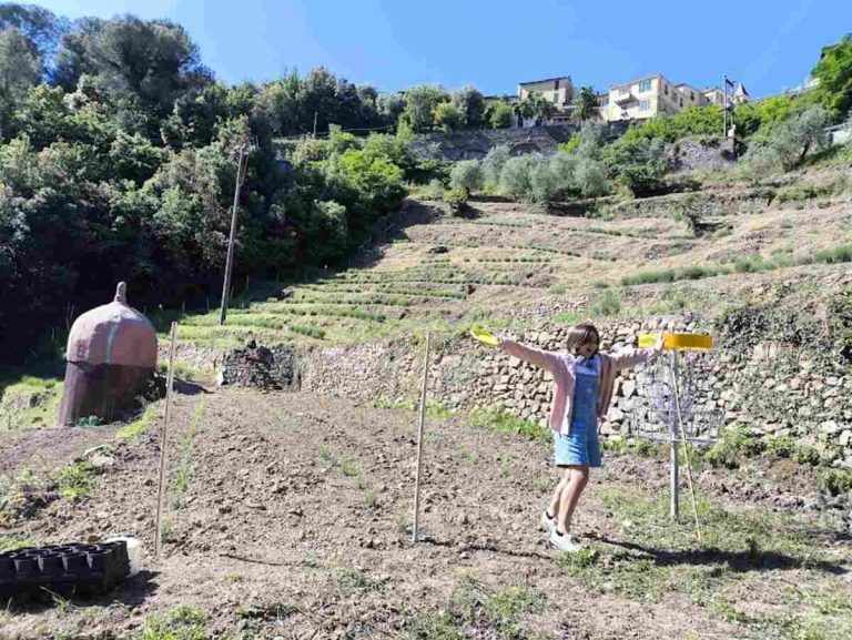 Alla scoperta di Olivetta San Michele e del Golf park tra la lavanda