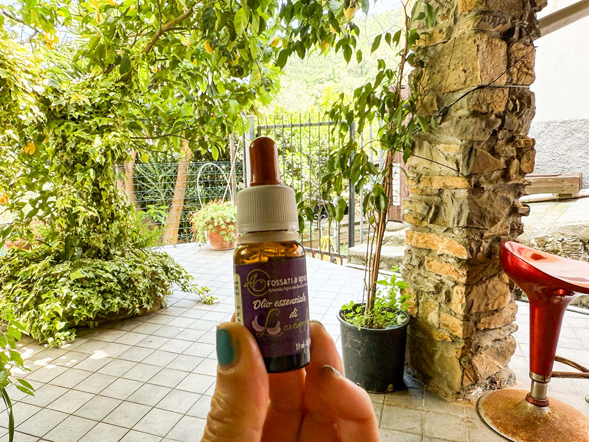 essenza lavanda