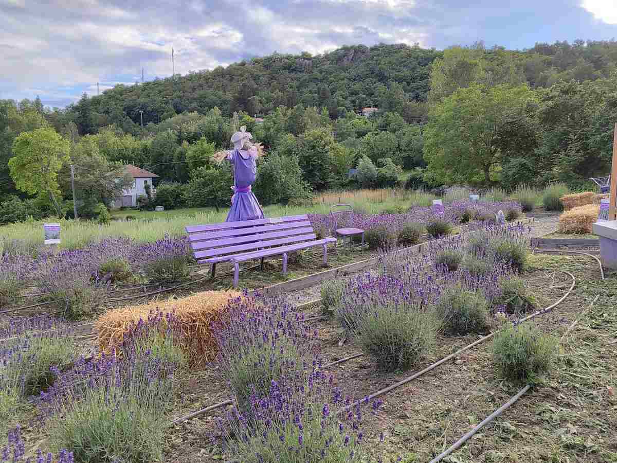 giardino di vanda