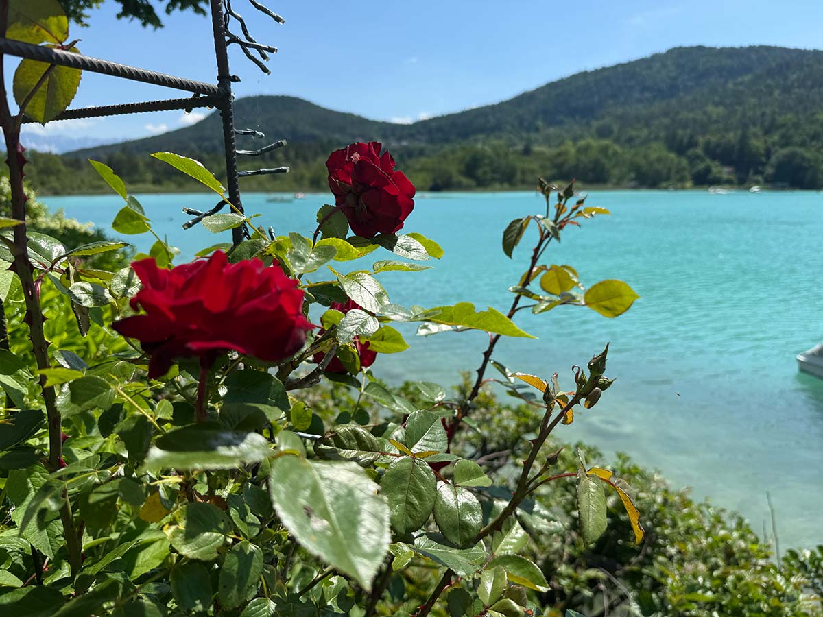 lago Worthersee