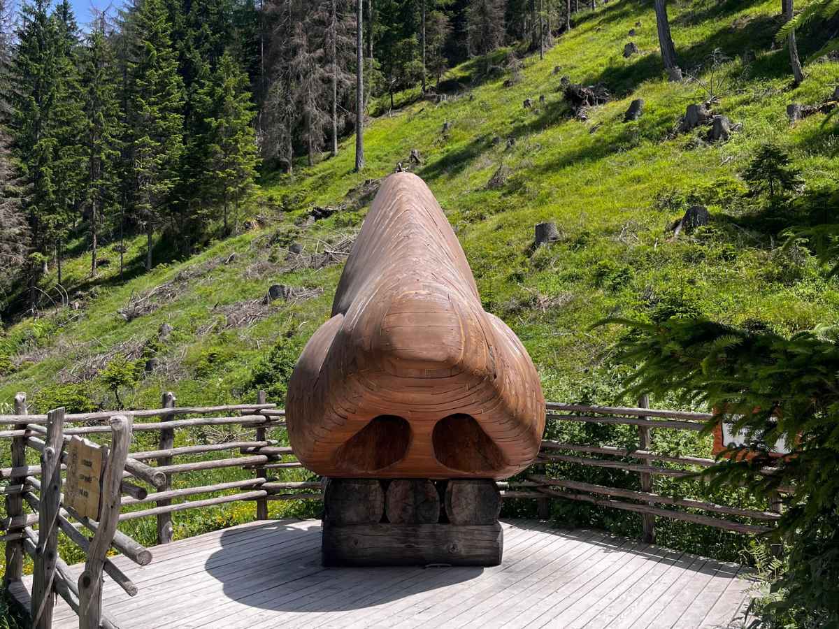 naso del gigante baranci