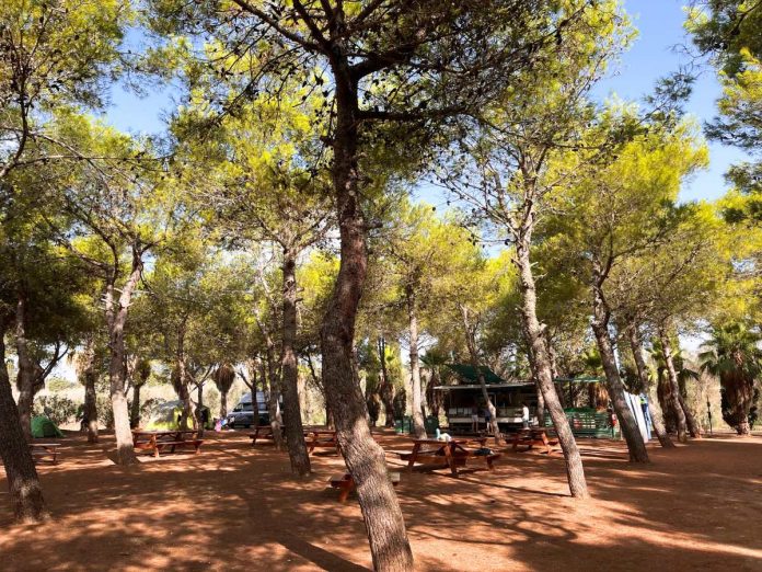 agricampeggio a otranto nella pineta vicino alla bia dei turchi