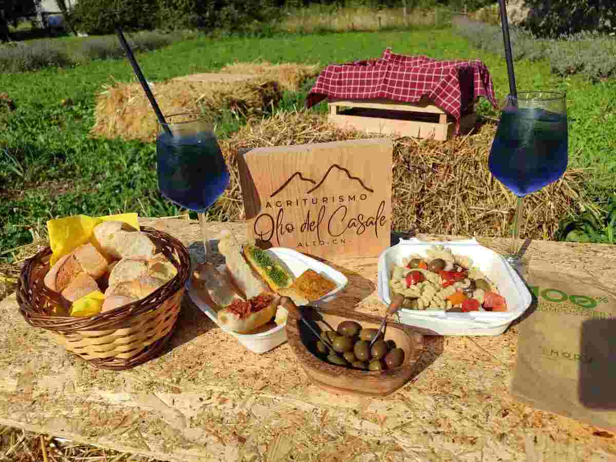 picnic 2 giardino di vanda