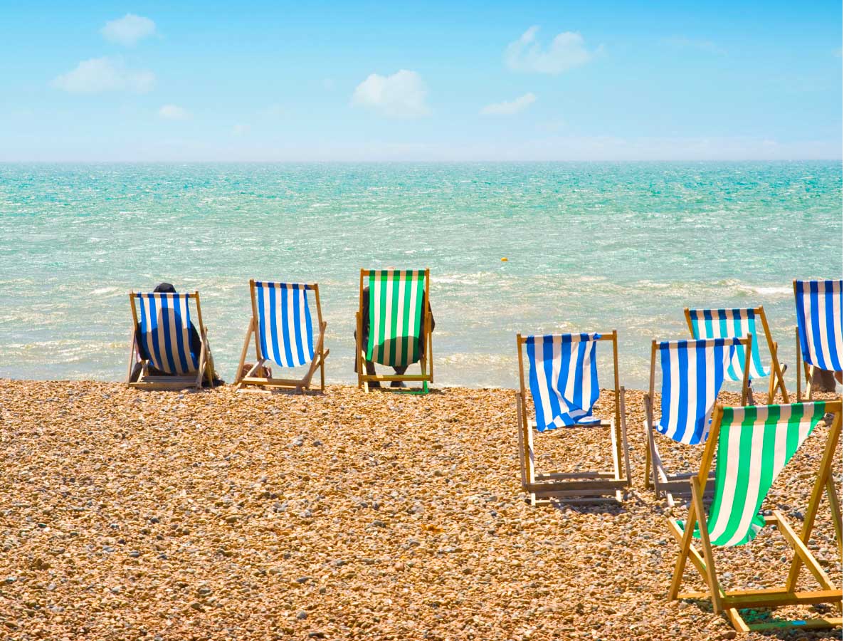 Brighton mare