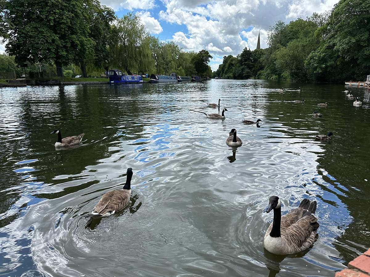 Crociera Stratford upon Avon