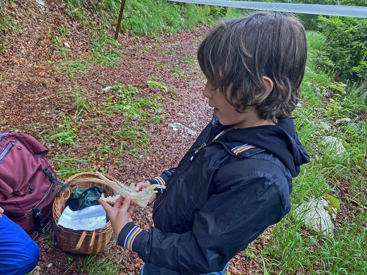 bambino bosco caccia al tesoro