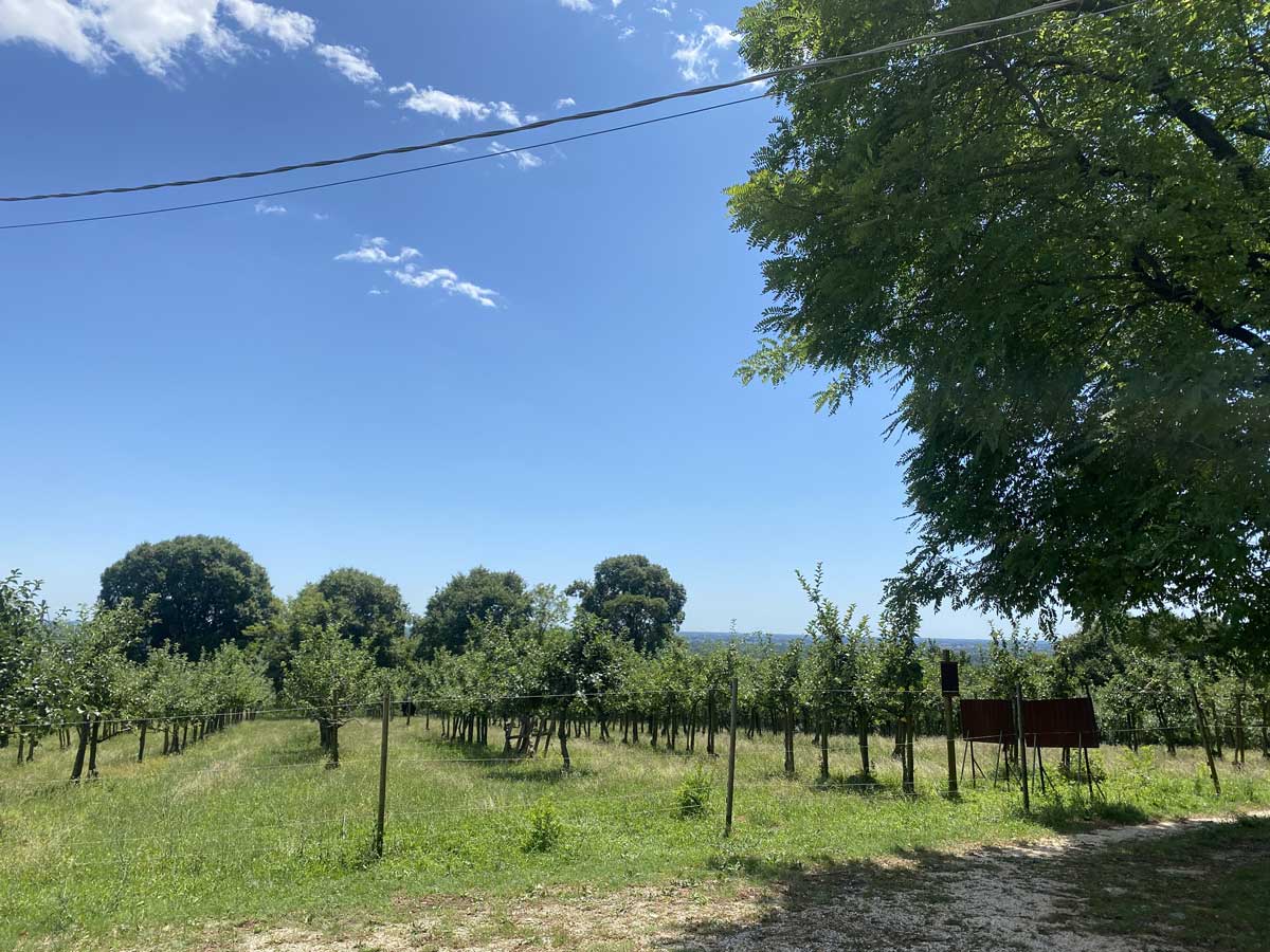 parco san floriano