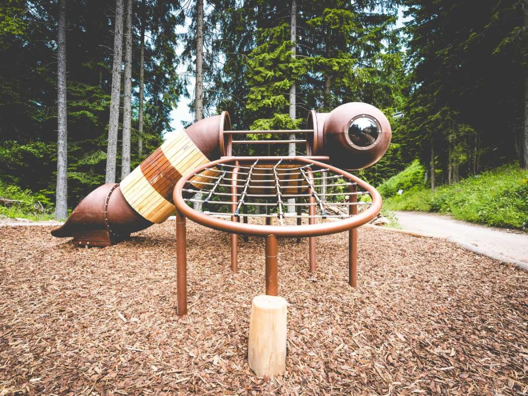 mega insetto al sentiero mega bugs di andalo