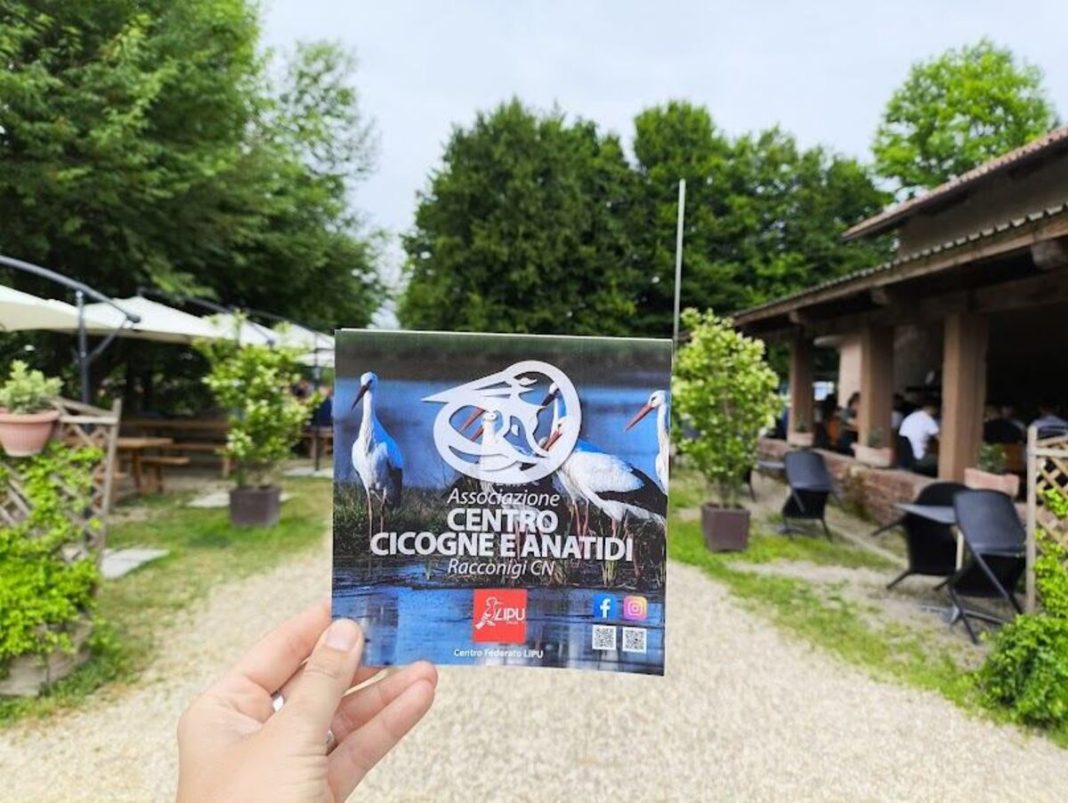 centro cicogne racconigi