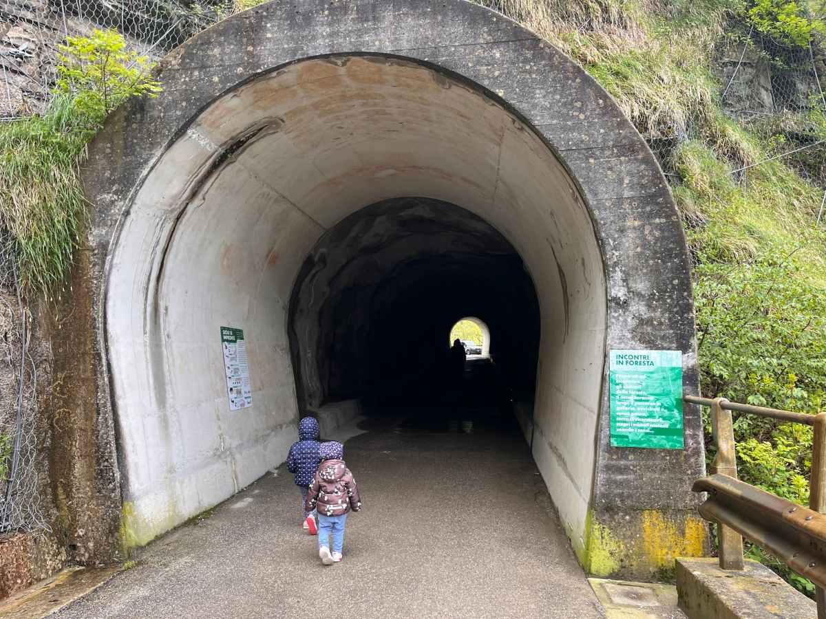 tunnel didattico