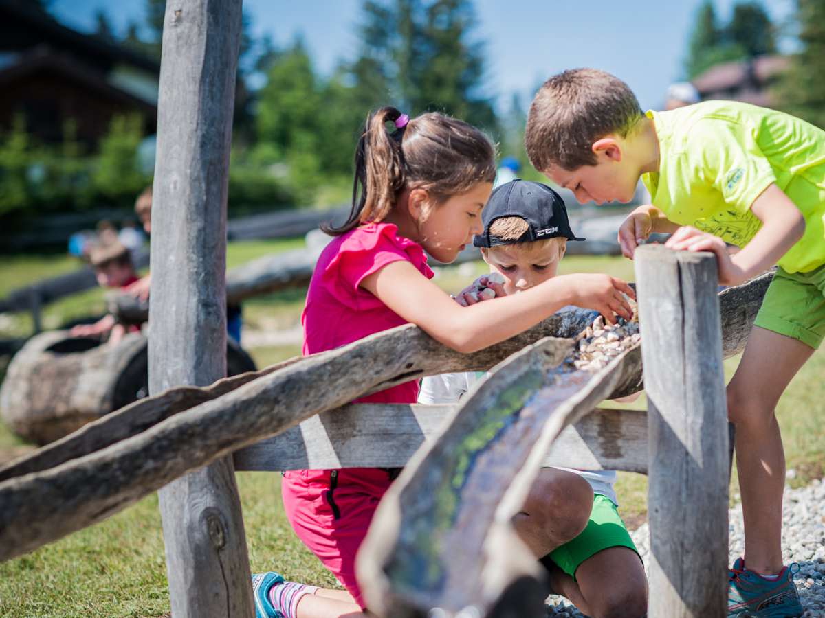 Bambini seguono un percorso all'interno del sentiero panaraida in val gardena