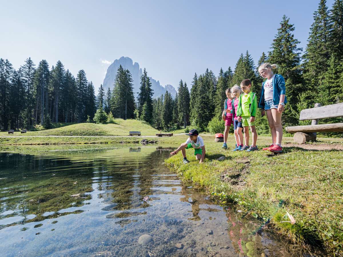 biotopo sentiero panaraida val gardena