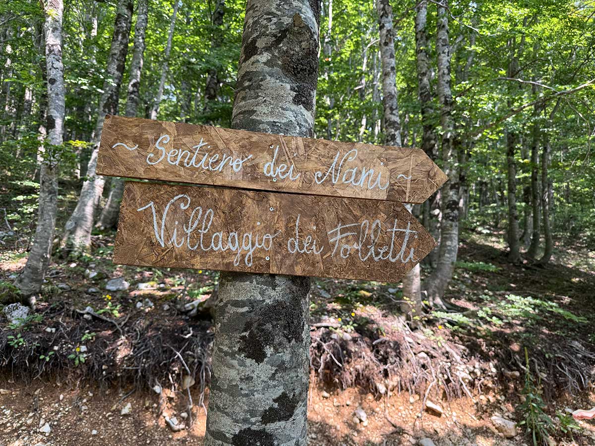 Bosco delle Meraviglie Roccaraso