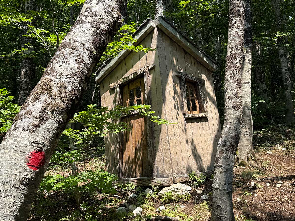 Bosco delle Meraviglie Roccaraso