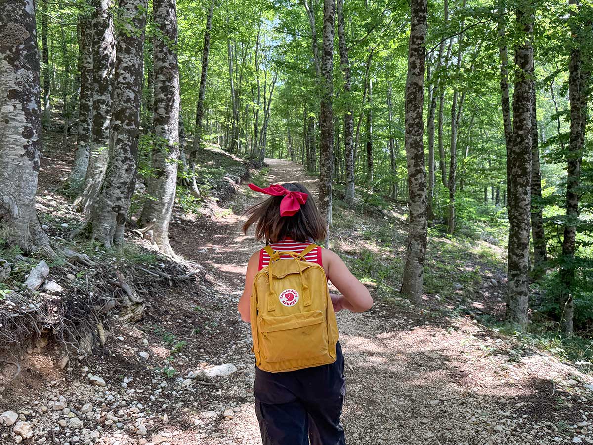 Sentiero Bosco delle Meraviglie Roccaraso