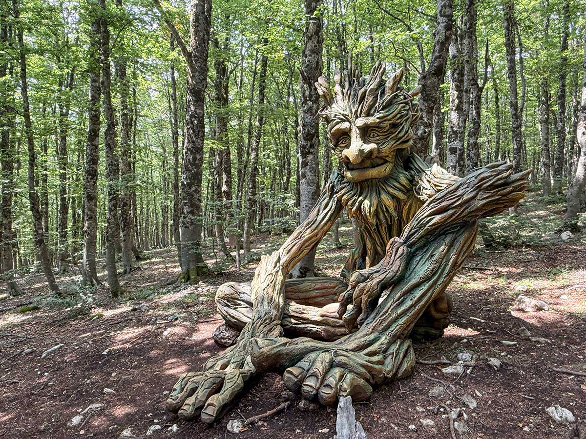 Bosco delle Meraviglie Roccaraso
