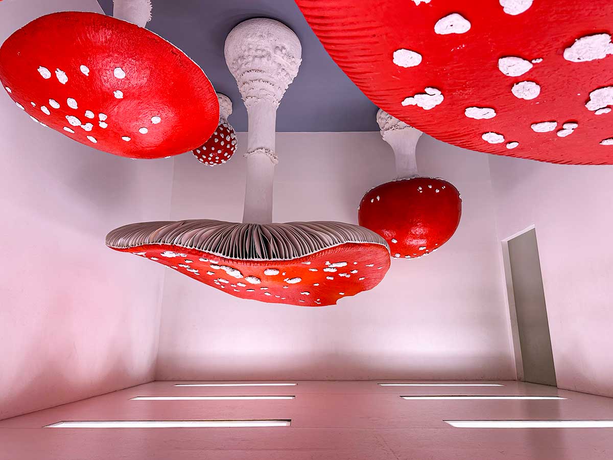 Fondazione Prada funghi 