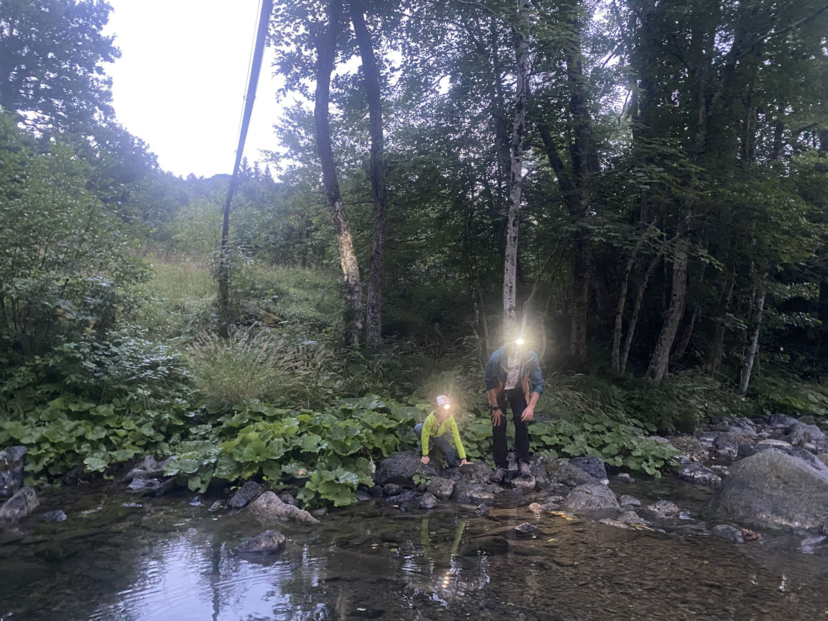 Life claw Gambero di fiume